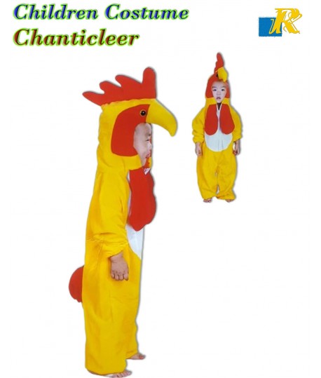 Children Costume - Chanticleer costume for kids