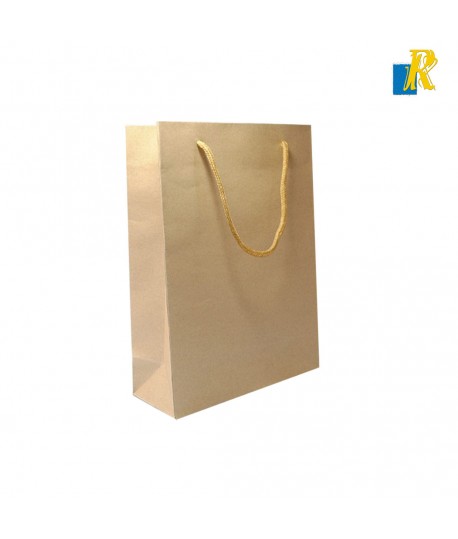 12-Pack Kraft Brown Paper Bags 31x12x42cm Plain Paper Bags with Rope Handle Item No.GFB013