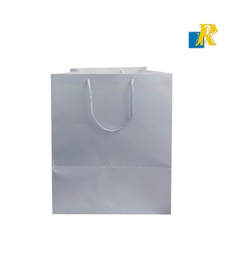 Paper Bags [Pack of 6] Recyclable Kraft Paper Gift, Food Service Bags-ITEM NO:GBC017