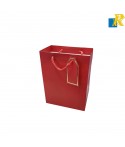 12-Pack Color Paper Bags With Rope Handle & Tag 18x23x10cm Item No.20252506