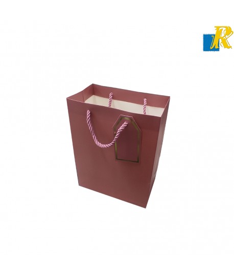 12-Pack Color Paper Bags With Rope Handle & Tag 18x23x10cm Item No.20252513