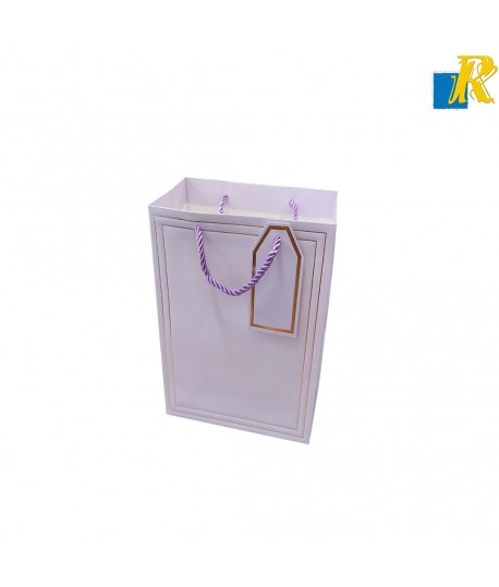 12-Pack Color Paper Bags With Golden Design,Rope Handle & Tag 18x23x10cm Item No.20252621