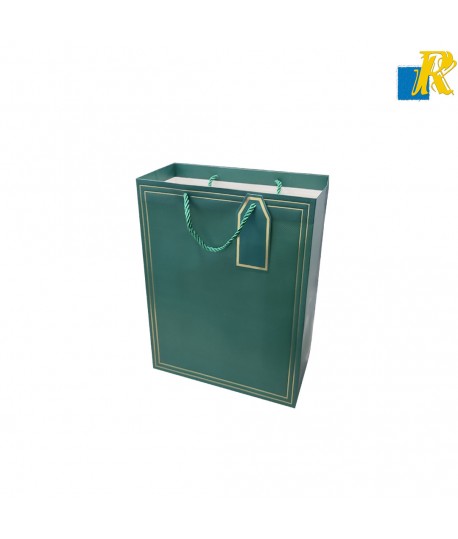 12-Pack Color Paper Bags With Golden Design,Rope Handle & Tag 26x32x12cm Item No.20252642