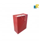 12-Pack Color Paper Bags With Rope Handle & Tag 26x32x12cm Item No.20252520