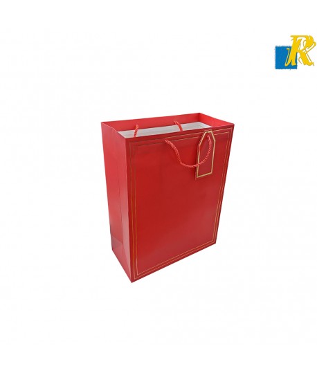 12-Pack Color Paper Bags With Rope Handle & Tag 26x32x12cm Item No.20252632